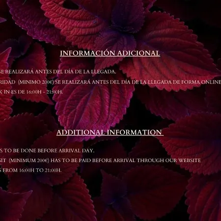 Caleta Homes - Ancha Del Carmen Apartment *